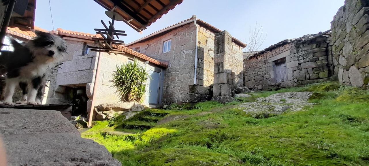 Casa Padre Manuel Do Couto Villa Vila Pouca de Aguiar Ngoại thất bức ảnh