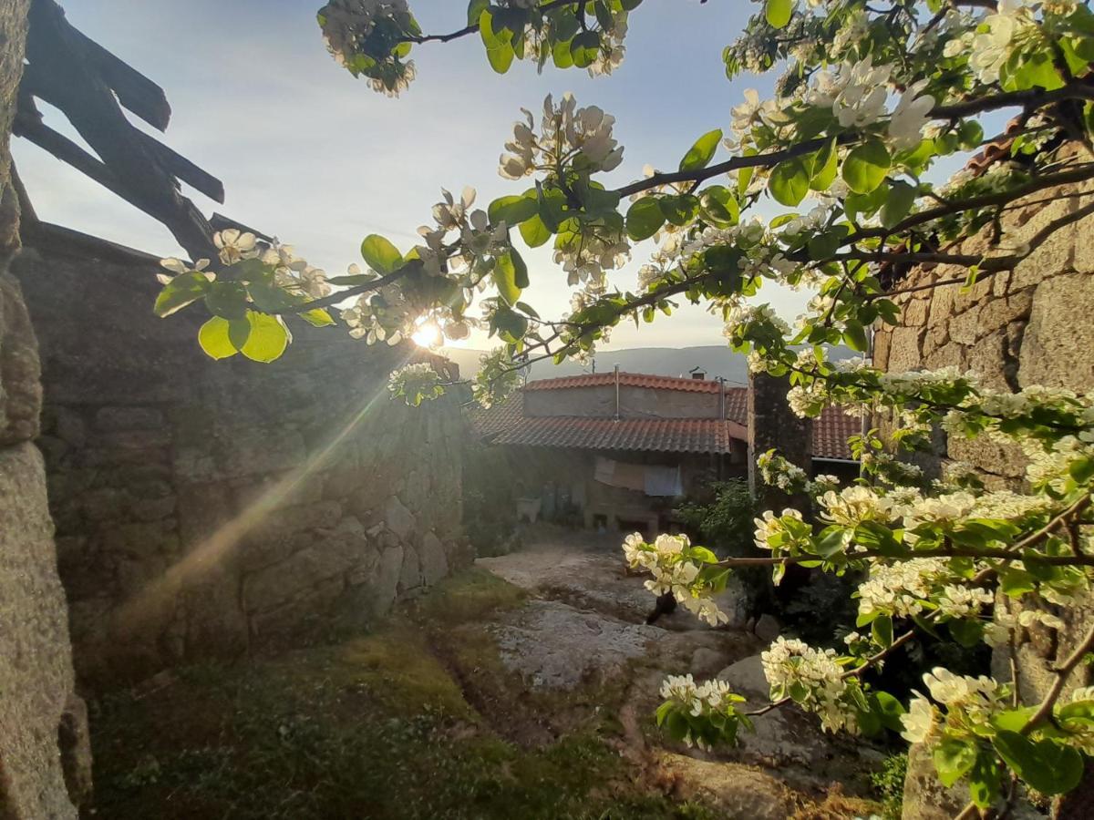 Casa Padre Manuel Do Couto Villa Vila Pouca de Aguiar Ngoại thất bức ảnh